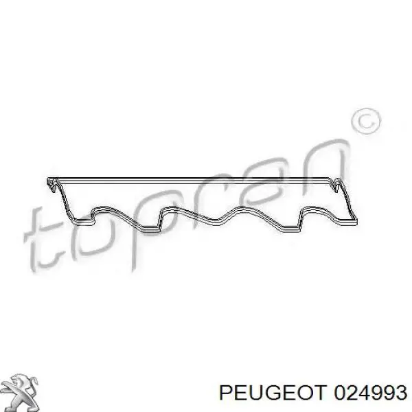 Купити 024993 Peugeot/Citroen Прокладка клапанної кришки