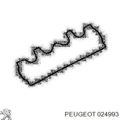 24981 Peugeot/Citroen прокладка клапанної кришки двигуна