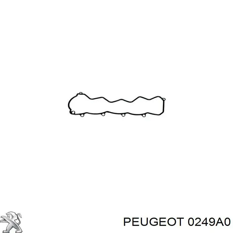 0249A0 Peugeot/Citroen прокладка клапанної кришки двигуна