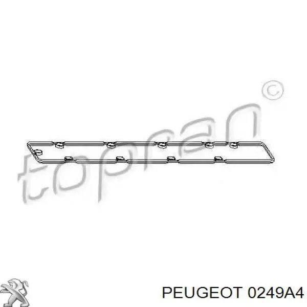 0249A4 Peugeot/Citroen прокладка клапанної кришки, ліва