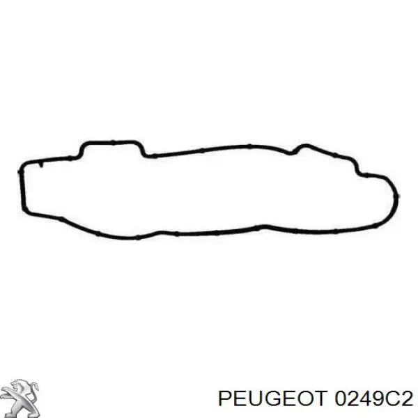 Купити 0249C2 Peugeot/Citroen Прокладка клапанної кришки