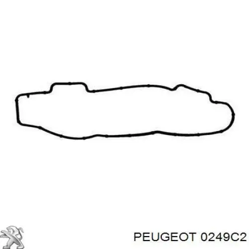 Прокладка клапанної кришки 0249C2 Peugeot/Citroen