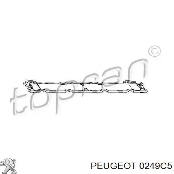 0249C5 Peugeot/Citroen Прокладка клапанної кришки, права