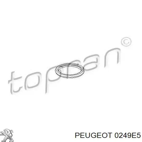 Купити 0249E5 Peugeot/Citroen Прокладка клапанної кришки двигуна, кільце