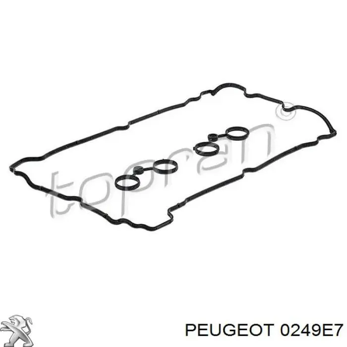 00000249E7 Peugeot/Citroen прокладка клапанної кришки двигуна, внутрішня
