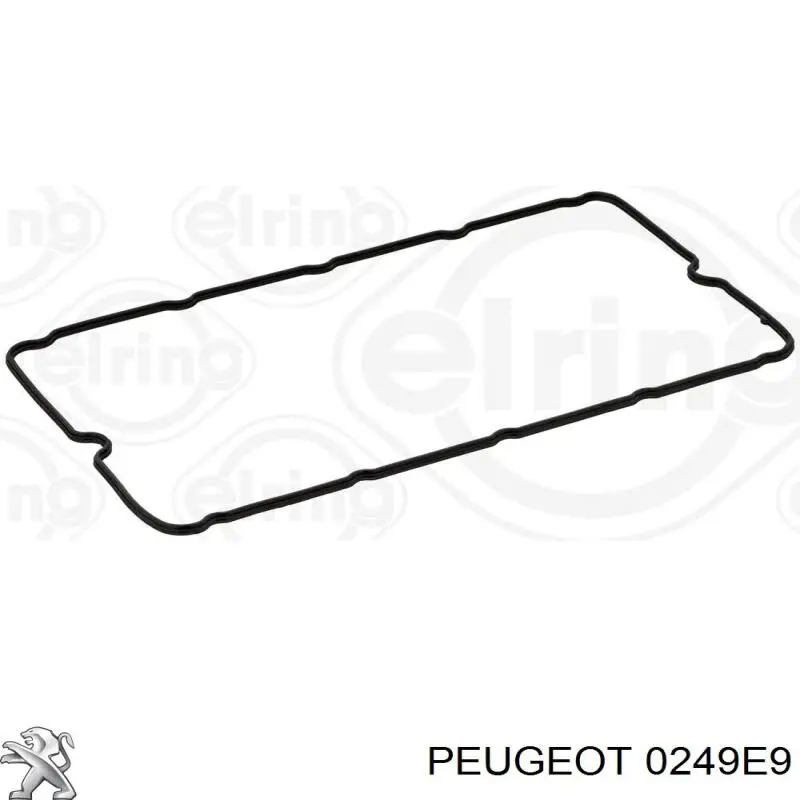 0249E9 Peugeot/Citroen Прокладка кришки клапанної 