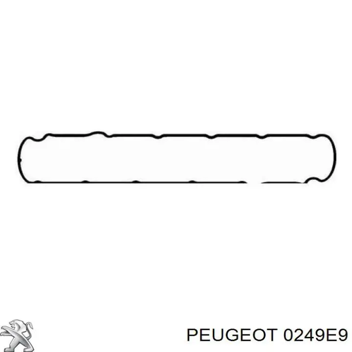 0249E9 Peugeot/Citroen прокладка клапанної кришки двигуна