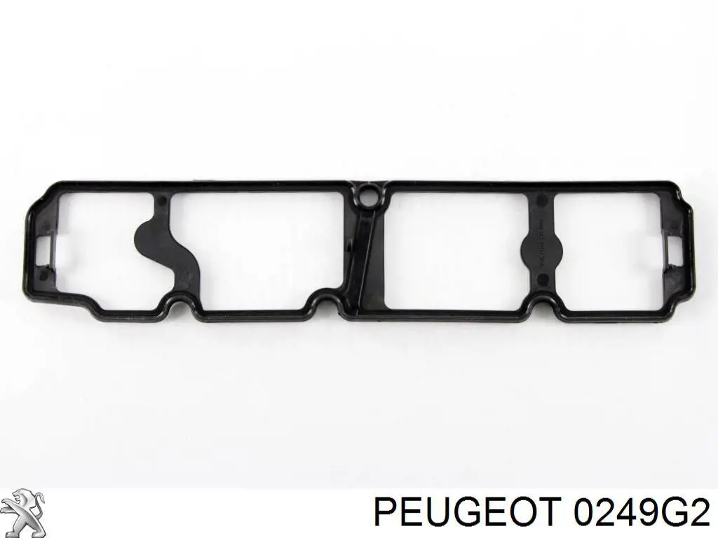 0249G2 Peugeot/Citroen прокладка клапанної кришки двигуна