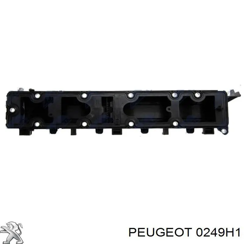 0249H1 Peugeot/Citroen прокладка клапанної кришки, права