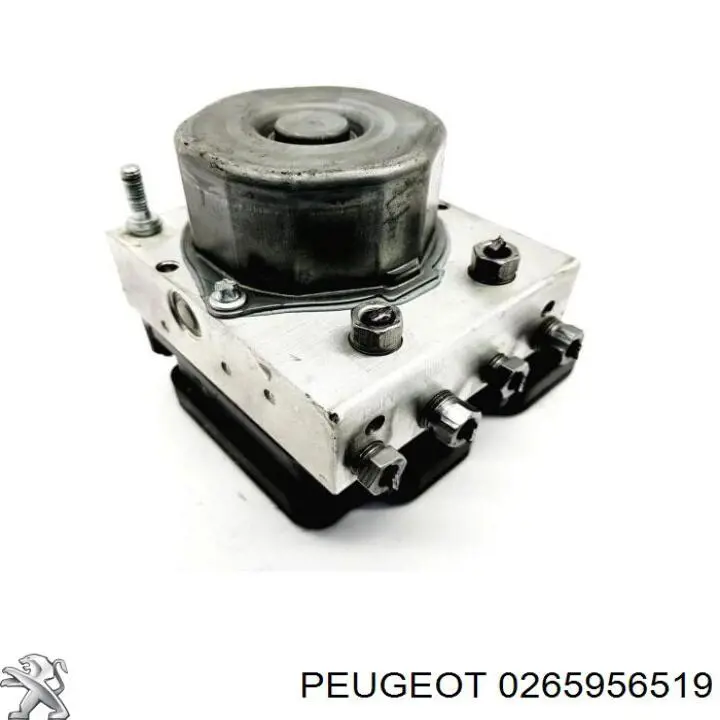  0265956519 Fiat/Alfa/Lancia