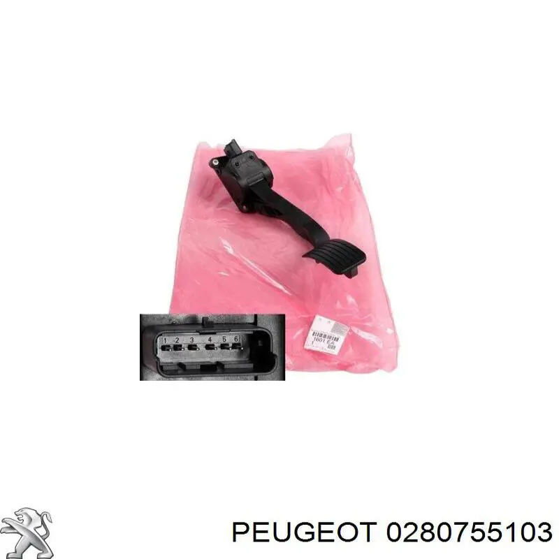 0280755103 Peugeot/Citroen 
