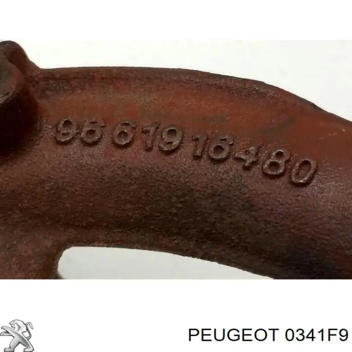 0341F9 Peugeot/Citroen Газопроводи (колектор випускний)
