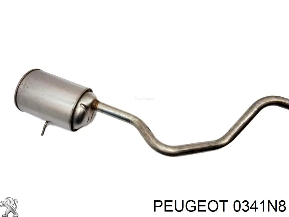 0341N8 Peugeot/Citroen Система випуску газів двигуна