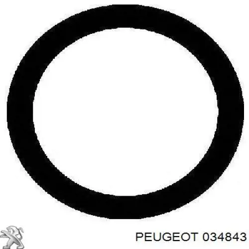 Прокладка впускного колектора 7903065056 Renault (RVI)