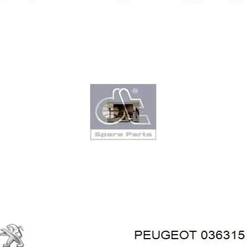 Купити 036315 Peugeot/Citroen Заглушка/ решітка протитуманних фар бампера переднього, права
