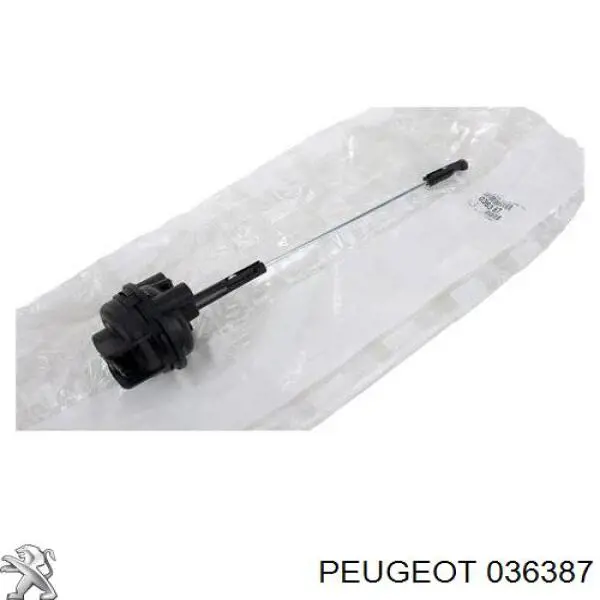 Купити 036387 Peugeot/Citroen Клапан управління турбіною
