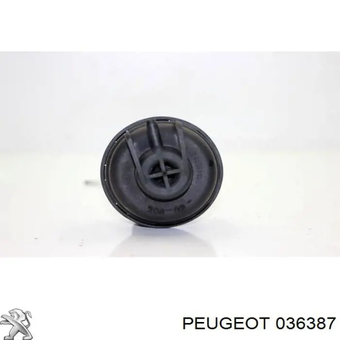 036387 Peugeot/Citroen модуль керування турбіною