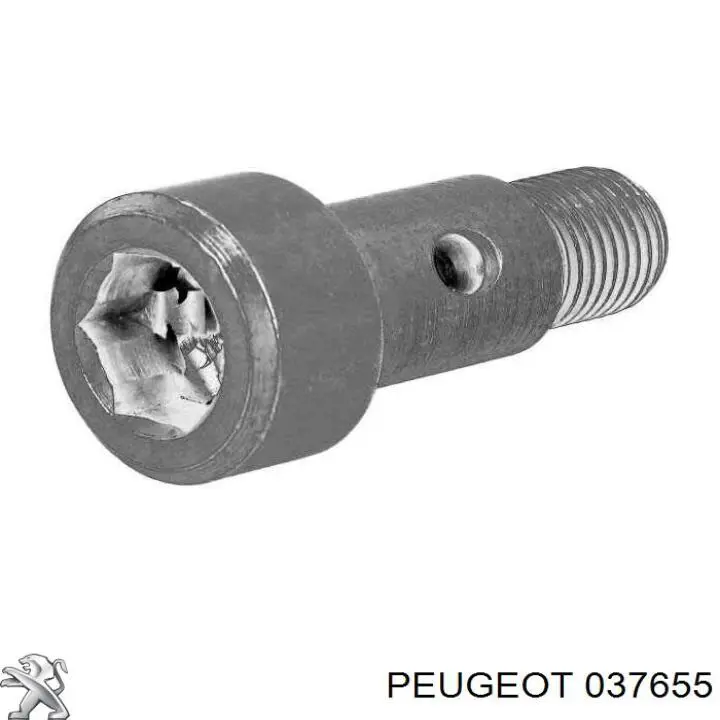 037655 Peugeot/Citroen Болт трубки турбіни подачі масла