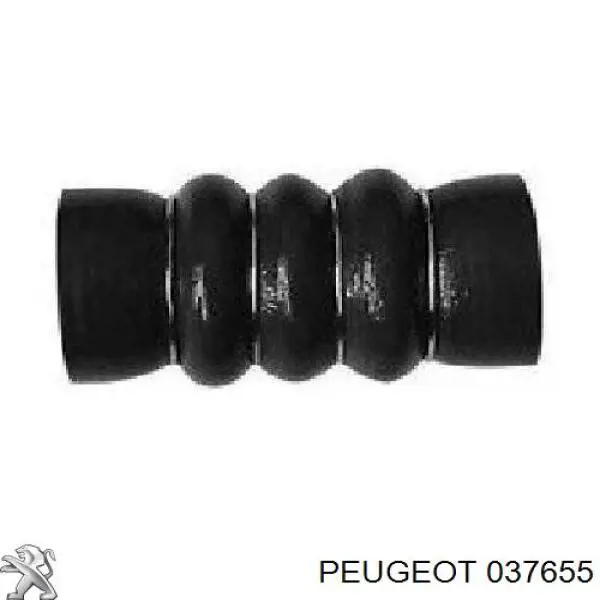 Купити 037655 Peugeot/Citroen Болт трубки турбіни подачі масла
