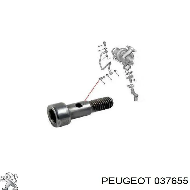 Болт трубки турбіни подачі масла Peugeot/Citroen 037655 ціна, від 6.19 USD