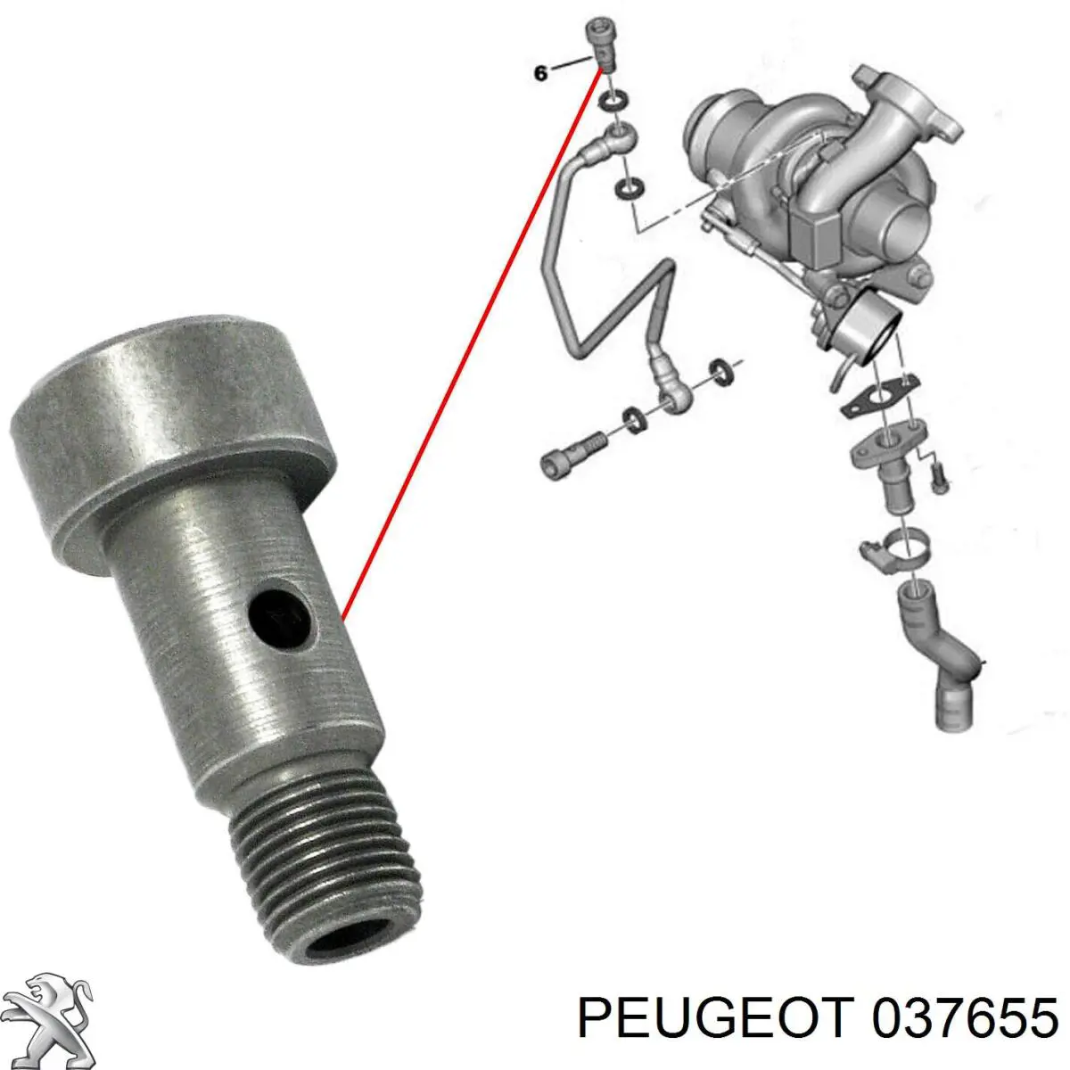 Болт трубки турбіни подачі масла Peugeot/Citroen 037655
