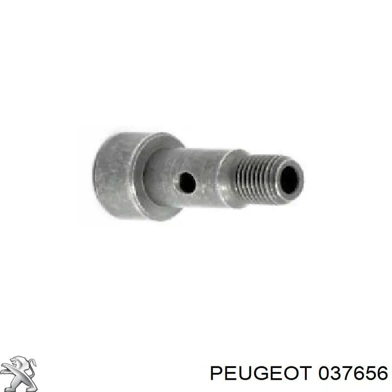 Геометрія турбіни Peugeot/Citroen 037656