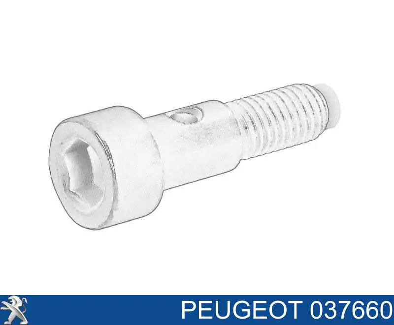 Купити 37660 Peugeot/Citroen Болт трубки турбіни подачі масла
