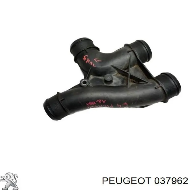 037962 Peugeot/Citroen Трубка/шланг подачі масла до турбіни