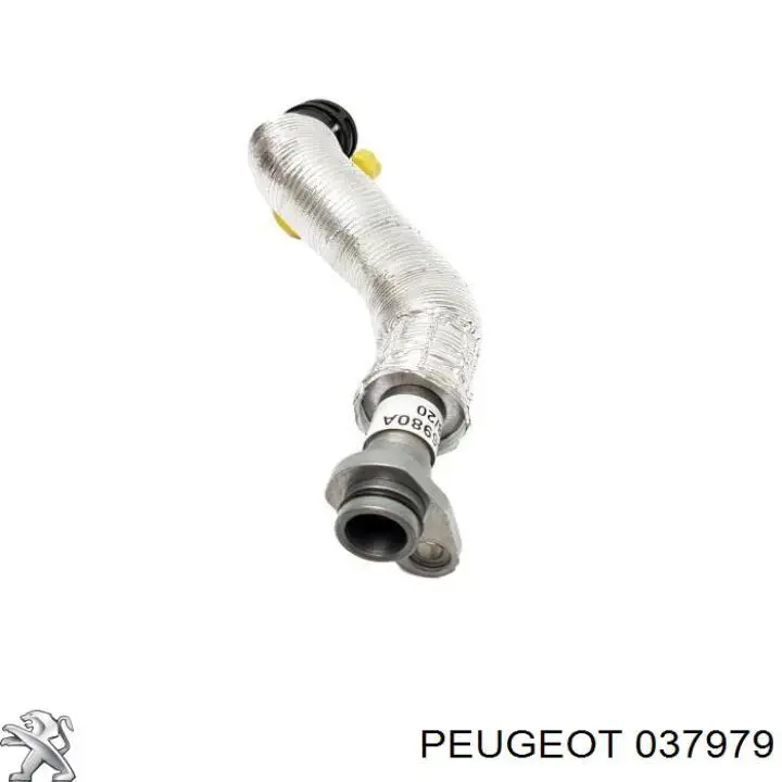 Купити 037979 Peugeot/Citroen Трубка/шланг відводу масла від турбіни