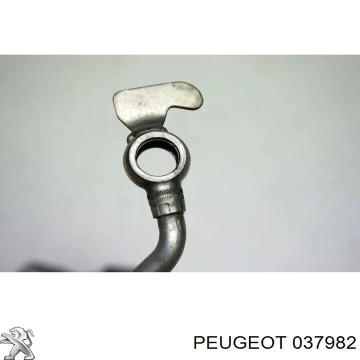037982 Peugeot/Citroen Трубка/шланг подачі масла до турбіни