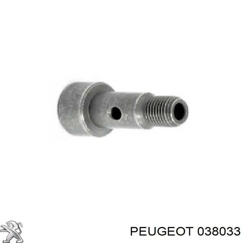 38033 Peugeot/Citroen Прокладка шланга відводу масла від турбіни