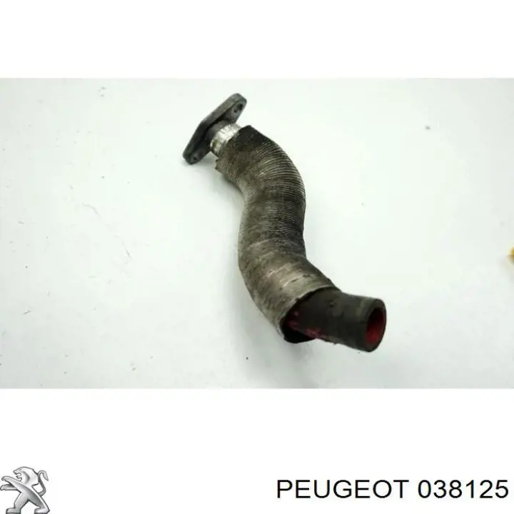 038125 Peugeot/Citroen трубка/шланг відводу масла від турбіни