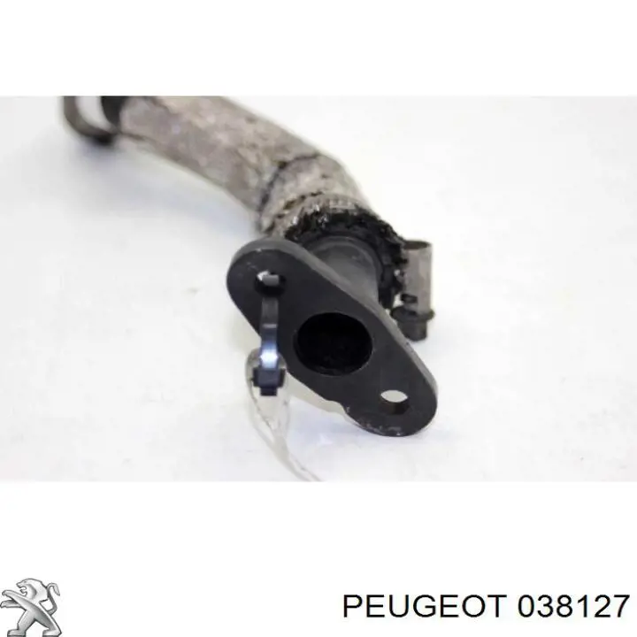 Трубка/шланг відводу масла від турбіни 038127 Peugeot/Citroen