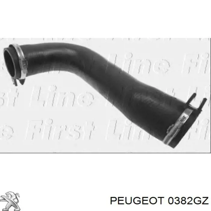 Купити 0382GZ Peugeot/Citroen Шланг/патрубок интеркуллера