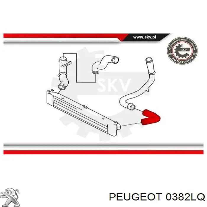 Купити 0382LQ Peugeot/Citroen Шланг/патрубок интеркуллера