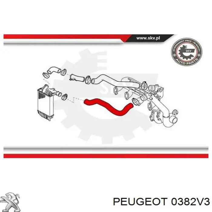 Трубка, що нагнітається Peugeot/Citroen 0382V3 ціна, від 30.00 USD