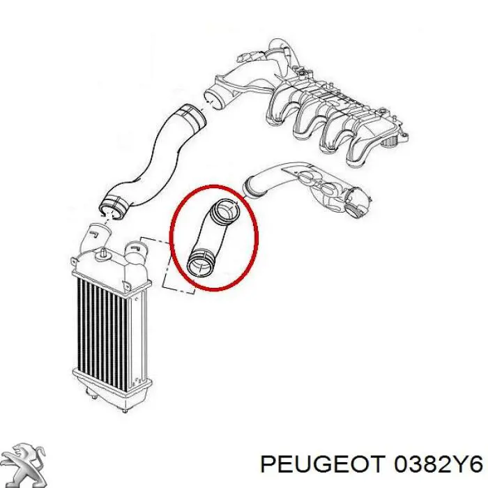 Шланг/патрубок интеркуллера Thermotec DCC034TT ціна, від 15.55 USD