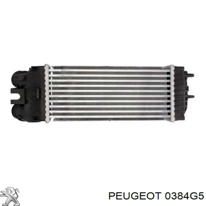 Купити 0384G5 Peugeot/Citroen Радіатор интеркуллера