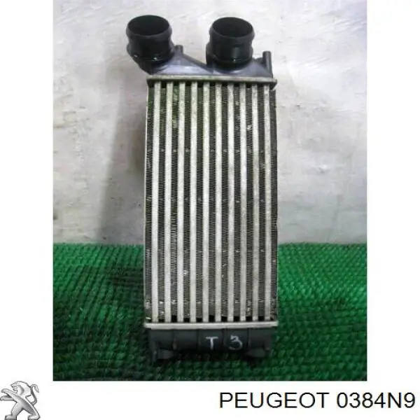 Радіатор інтеркулера Peugeot/Citroen 0384N9