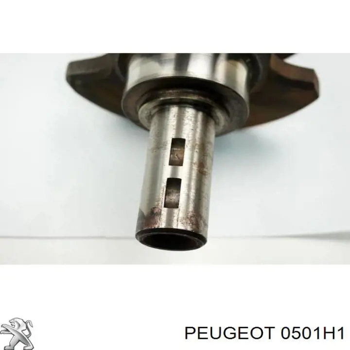 Колінчастий вал Peugeot/Citroen 0501H1