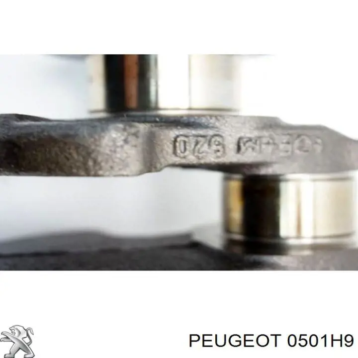 Колінвал 0501H9 Peugeot/Citroen
