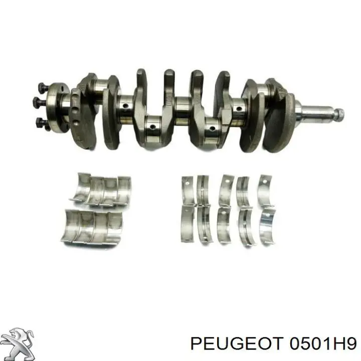 Вал колінчастий і маховик Peugeot/Citroen 0501H9 ціна, від 75.93 USD