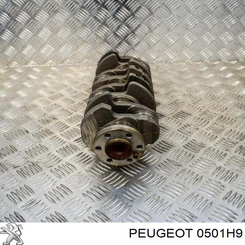 Колінчастий вал Peugeot/Citroen 0501H9