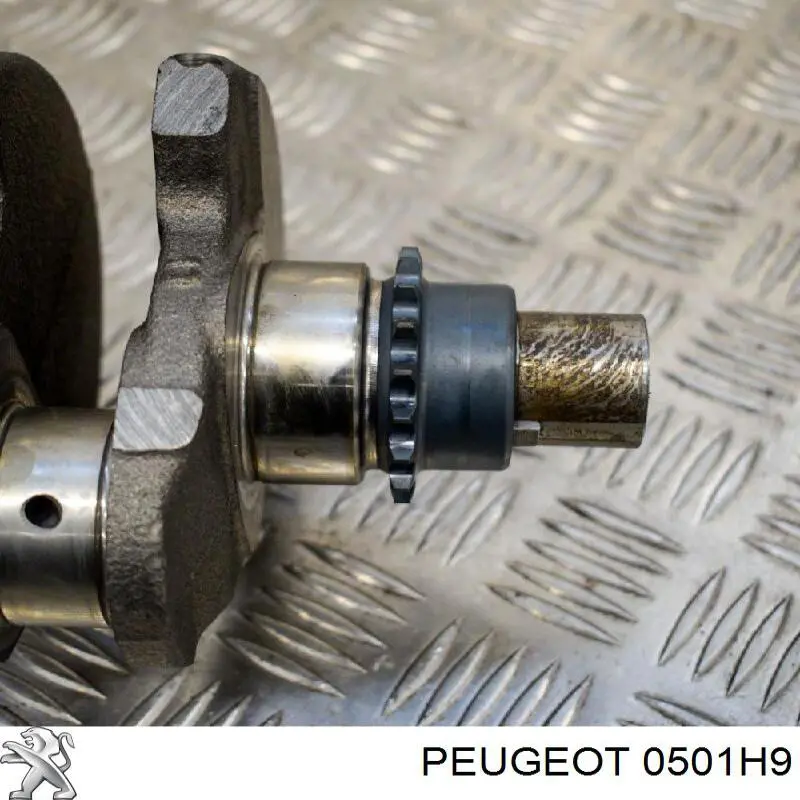 Вал колінчастий і маховик Peugeot/Citroen 0501H9 ціна, від 75.93 USD