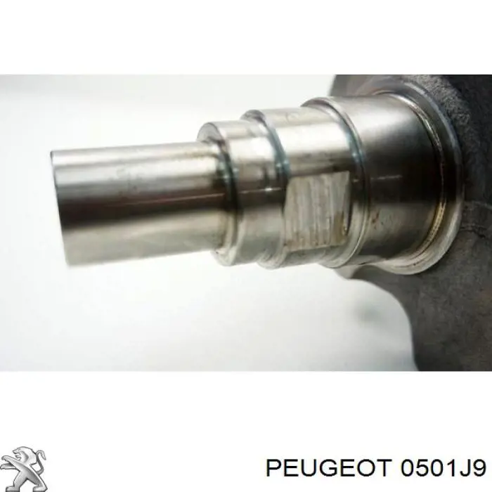 Вал колінчастий і маховик Peugeot/Citroen 0501J9 ціна, від 70.30 USD