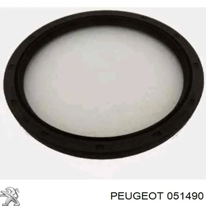 Комплект прокладок двигуна, нижній 051490 Peugeot/Citroen