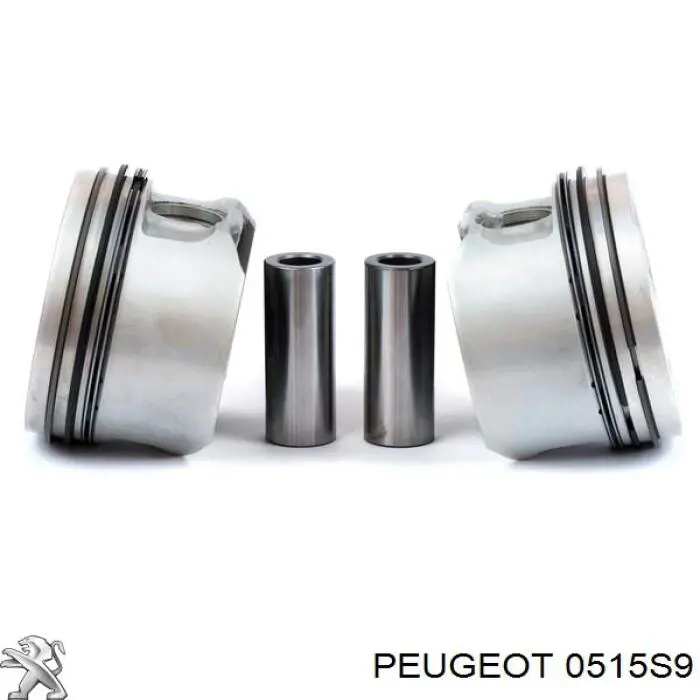 Шків колінвала (демпфер ) Peugeot/Citroen 0515S9 ціна, від 68.75 USD