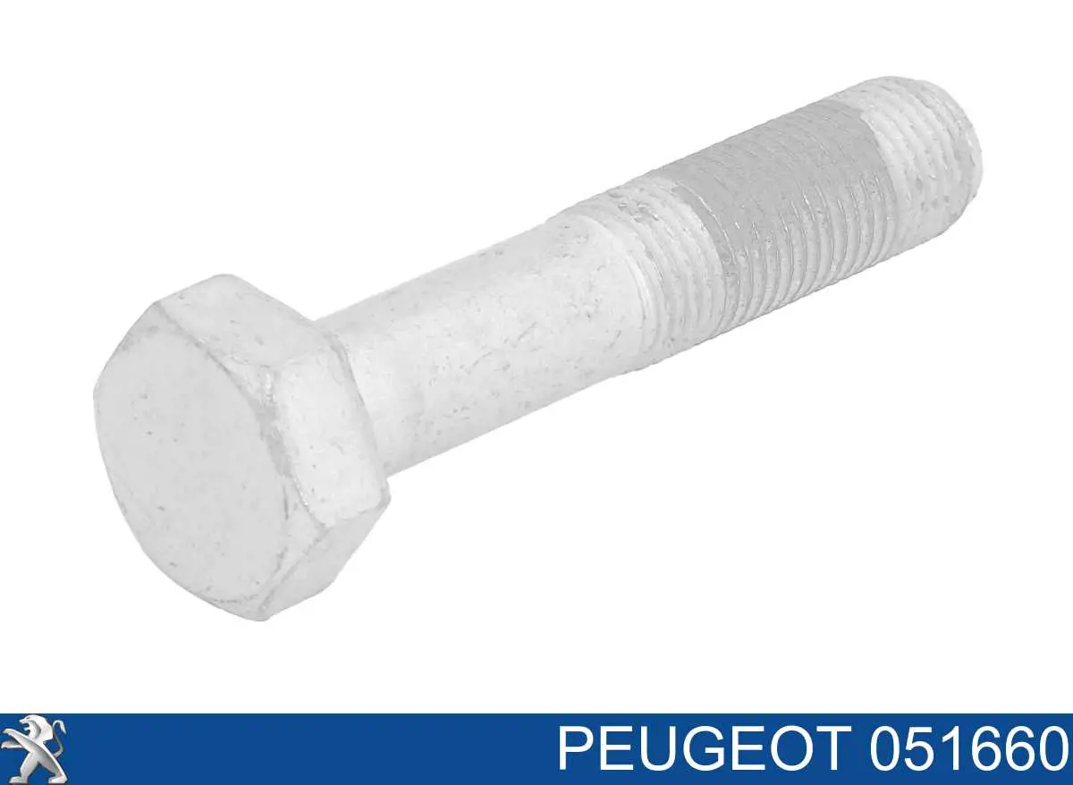 051660 Peugeot/Citroen Болт коленвала