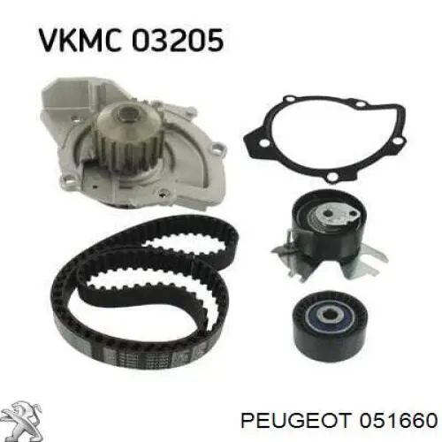 Купити 051660 Peugeot/Citroen Болт колінвалу