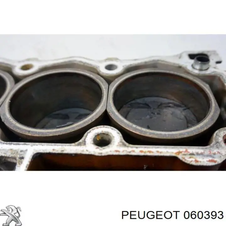 Шатун поршня двигуна 060393 Peugeot/Citroen